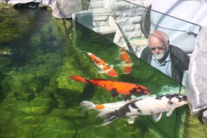 Superkoi udstillingshal 2 3