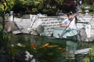 Superkoi udstillingshal 2 4