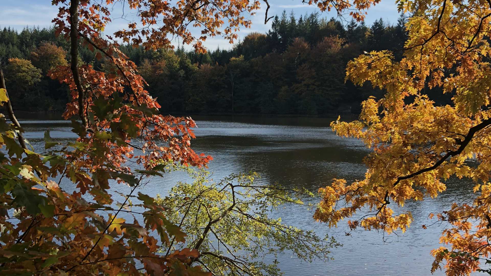 vinterlukket